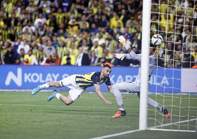 的球员填补 的球员填补