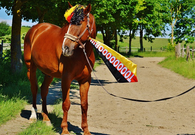 面对众多顶 面对众多顶