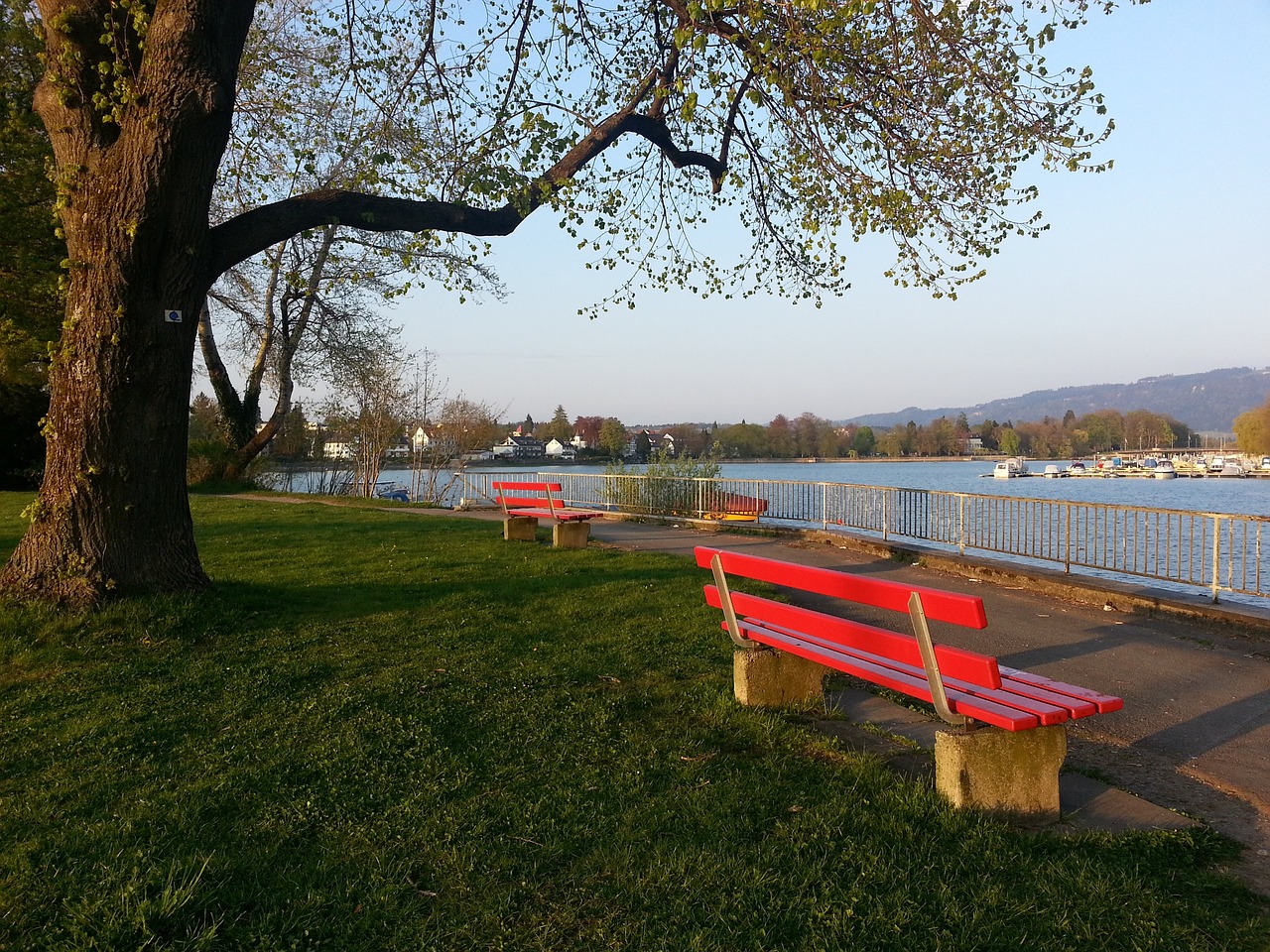 议地斩获了 议地斩获了