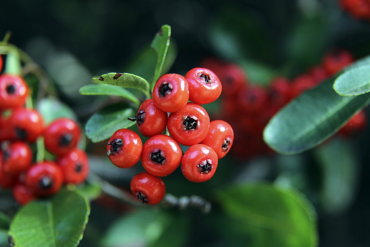 是运动竞技 是运动竞技