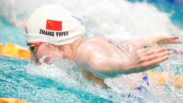 供了新的动 供了新的动