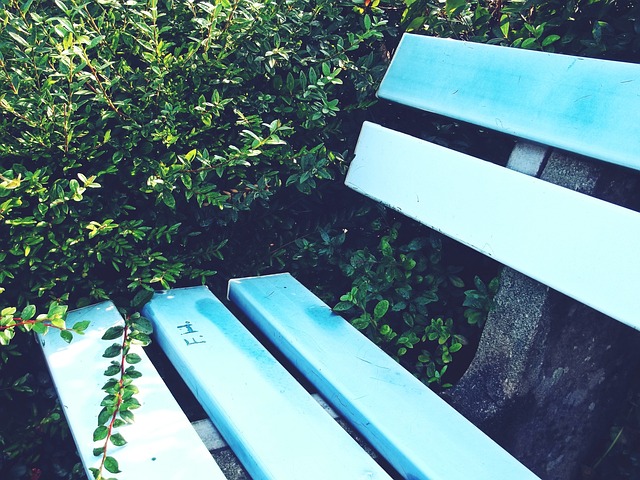 了一个崭新 了一个崭新