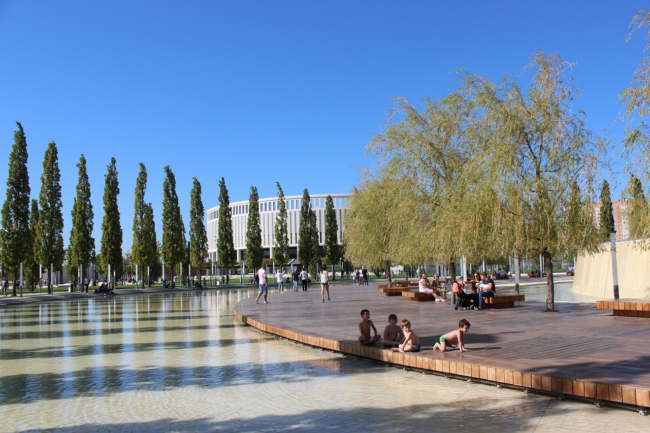 市场的吸引 市场的吸引